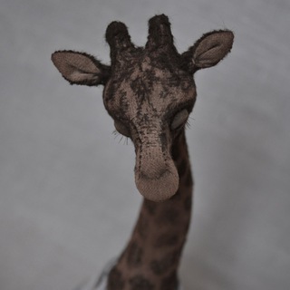 Логотип телеграм канала @evelaga — evelaga