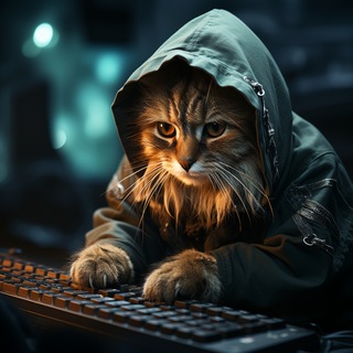 Логотип телеграм канала @evening_cats_library — Вечерняя Кототека