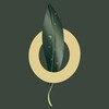 Логотип телеграм канала @evergreenliferussia — Бизнес с Evergreen Life Official