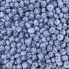 Логотип телеграм канала @every47 — Шведский Чехов Продукты