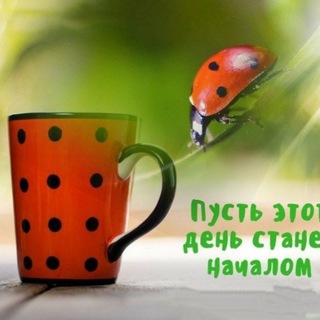 Логотип телеграм канала @everyday_for_you — С Добрым утром! Поздравления 📌 Открытки 💌 Антистресс