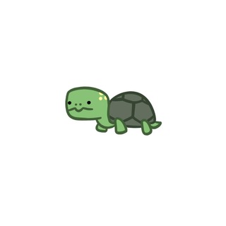 Логотип телеграм канала @everyday_turtle — 🐢everyday turtle🐢
