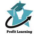 Telegram channel EVERY DAY PROFITS LEARNING logo