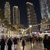 Логотип телеграм канала @everything_from_dubai — Everything for you from Dubai, Japan, Korea