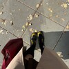Логотип телеграм канала @evichy — Еви_чушь