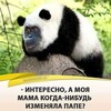 Логотип телеграм канала @evil_cynic — Злобная Циничка - Юмор без границ