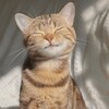 Логотип телеграм канала @evilshape — thoughts