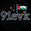 Логотип телеграм канала @evk91 — ПАЛЕСТИНА - израиль (война)