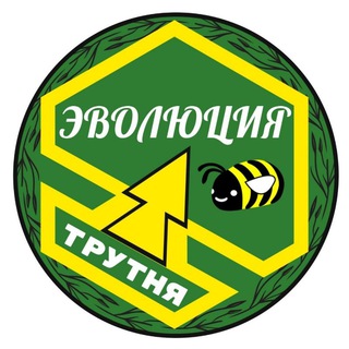 Логотип телеграм канала @evolution_drone — Эволюция Трутня