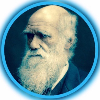 Логотип телеграм канала @evolutionary_theory — Обезьяна Дарвина 🐒