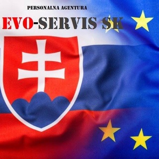 Логотип телеграм -каналу evoservissk — Еvo-servis SK