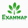 Logo saluran telegram exammap_upsc — UPSC IAS NOTES EXAMMAP