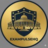 டெலிகிராம் சேனலின் சின்னம் exampulsehq_tnpsc — ExamPulseHQ — TNPSC