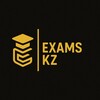 Telegram арнасының логотипі examskz — Cливы Гoс Экзаменов | ExamsKZ