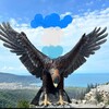 Логотип телеграм канала @excursion_gelendgik — Экскурсии_геленджик