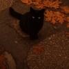 Логотип телеграм канала @existtome — exist to me