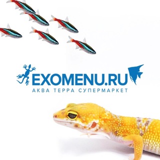 Логотип телеграм канала @exomenu — EXOMENU.RU (ЭКЗОМЕНЮ)