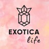 Logo of telegram channel exoticastudiospb — Exotica Life