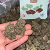 Logo of telegram channel exoticediblesshop — Budsexoticshop