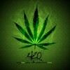 Logo of telegram channel exoticgashouse430 — Cloned card 💳💰/Exotic edible carts menu 💨