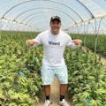Logo saluran telegram exotichempcalibudscalipluggrass — EXOTIC -- HEMP