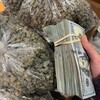Logo of telegram channel exotics_marijuana_topshelf — Cannabis Caliweed Kush Zaza