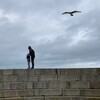 Логотип телеграм канала @expat_living — Экспатская жизнь