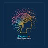 Logo of telegram channel expectorentgenum — Expecto Rentgenum🚨Emergency Radiology