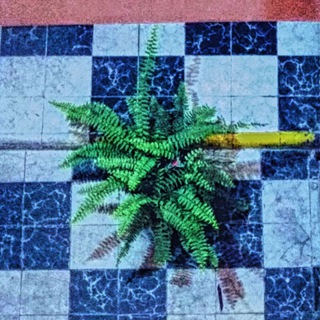 டெலிகிராம் சேனலின் சின்னம் experienciainterdimensional — 🌎 Experiencia interdimensional