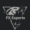 Logo of telegram channel experts124 — FX EXPERTS