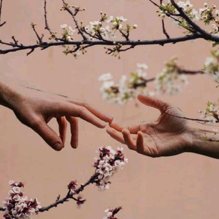 لوگوی کانال تلگرام extraminds — ExtraMindS
