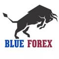 Logo saluran telegram extremepipsreviews — Blue Forex Reviews and Feedback