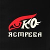 Логотип телеграм канала @eyeofhawk — Око Ястреба | Роман Сорокин