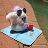Логотип телеграм канала @eyesonshelf — о! это же это!