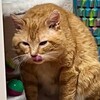 Логотип телеграм канала @eyeswashing — Пойду смою глаза🫧
