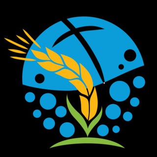 የቴሌግራም ቻናል አርማ eymmpublicchannel — ETHIOPIAN YOUTH MISSIONS MOVEMENT MINISTRY