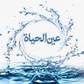Logo saluran telegram eynolhayatt — عین الحیاة