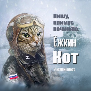 Логотип телеграм канала @ezhkinkot — Ёжкин кот 🇷🇺 Z