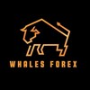 Logo of telegram channel f0o0r0e0x — WHALES FOREX