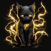 Logo of telegram channel f1assko — F1ashko
