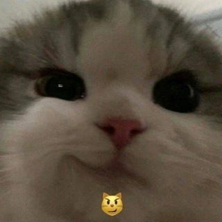 Логотип телеграм канала @f1rotg — Фиро и его голосовые