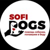 Logo of telegram channel f_4xavpuunz — Sofidogs