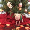 Логотип телеграм канала @facekontrolfans — ☃️пось фасе сонтрол⁶⁹🐖🐸🐗