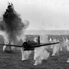 Логотип телеграм канала @faceofwararchive — Лик Войны Архив