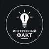 Логотип телеграм канала @fact_inter1 — Вывод сайта в топ