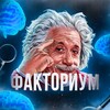 Логотип телеграм канала @factorium6 — Факториум 🧠