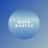 Логотип телеграм канала @factovmore — Море фактов [ Интересные факты ]