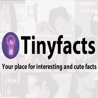 Logo saluran telegram facts_amazing_quotes_interesting — 💡 Tiny Facts