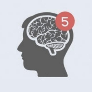 Логотип телеграм канала @facts_discovery — ФАКТЫ DISCOVERY