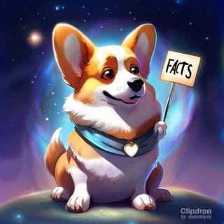 Логотип телеграм канала @factshistiry — Архив фактов|ГАВ